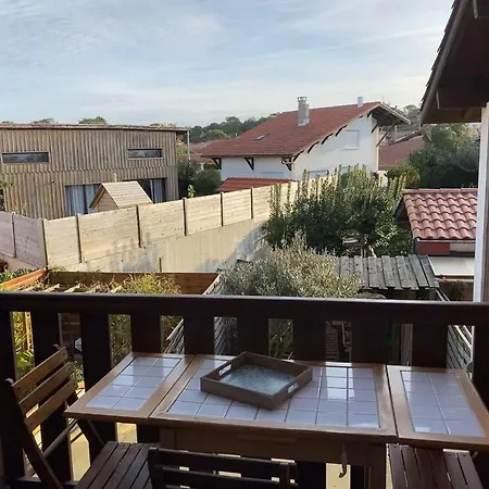 Cosy Au Bord De L'ocean * 비스카로세